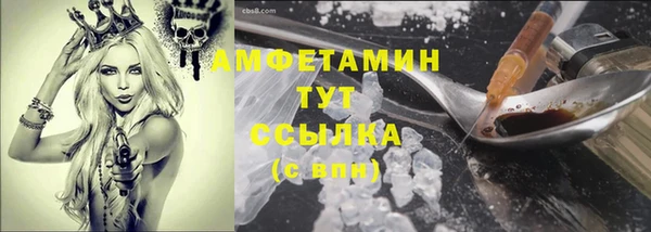 прущие грибы Коряжма