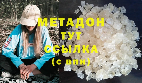 прущие грибы Коряжма