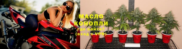 прущие грибы Коряжма