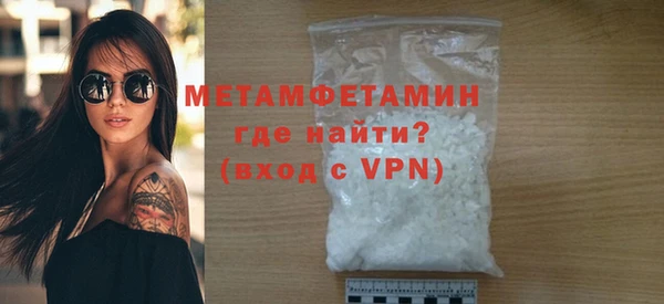 прущие грибы Коряжма