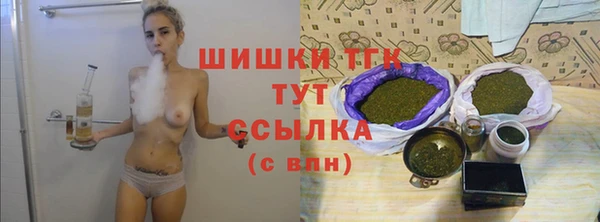 прущие грибы Коряжма