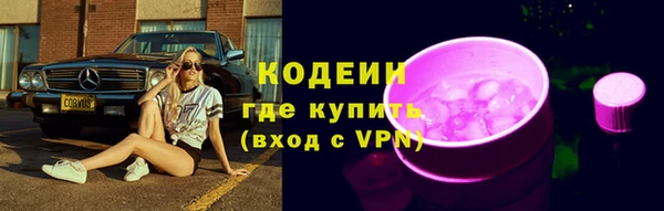 прущие грибы Коряжма