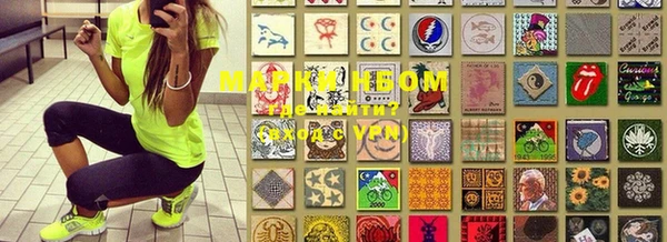 прущие грибы Коряжма