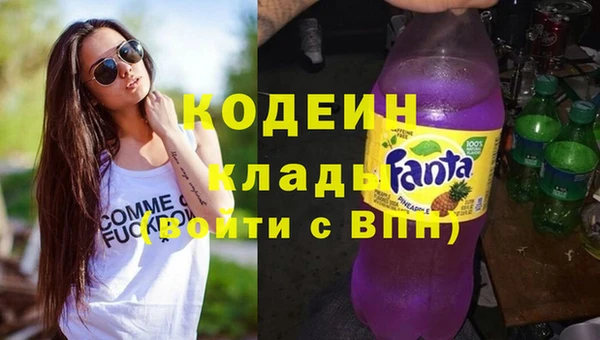 прущие грибы Коряжма
