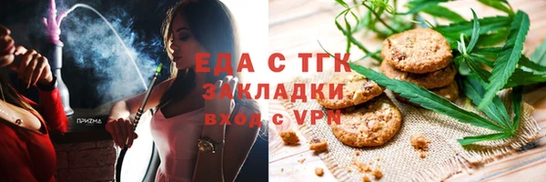 прущие грибы Коряжма