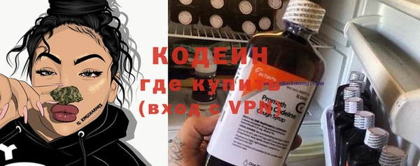 прущие грибы Коряжма