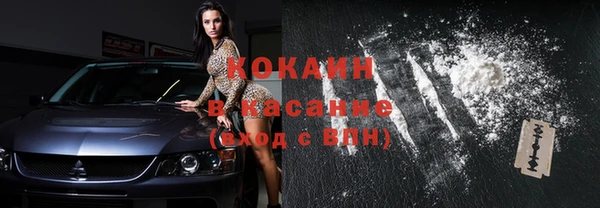 прущие грибы Коряжма
