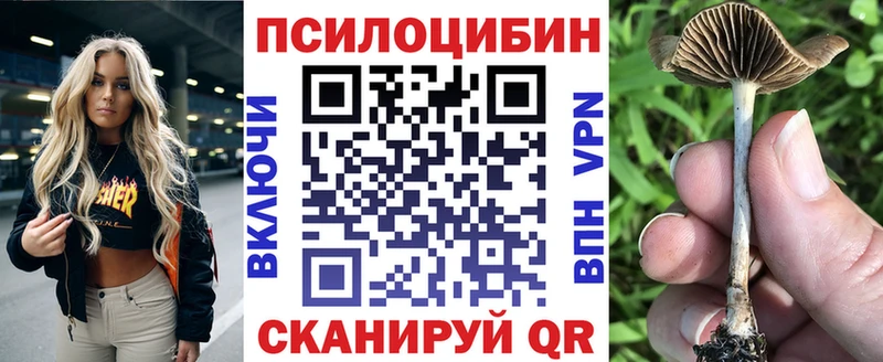 Галлюциногенные грибы MAGIC MUSHROOMS Купить где Клинцы