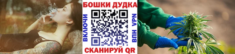 Купить закладки  Клинцы  Шишки марихуана конопля 